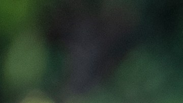 ¿Logrará Julieta Grajales eliminar a Mauricio Islas?