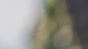 Roy no termina de acoplarse a las panteras.