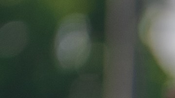 Mauricio Islas corre peligro de eliminación en La Isla: Desafío Extremo 2.