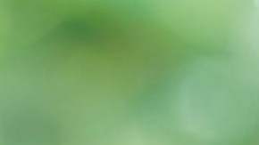 5 maneras de encontrar comida gratis o económica si eres beneficiario de cupones de alimentos