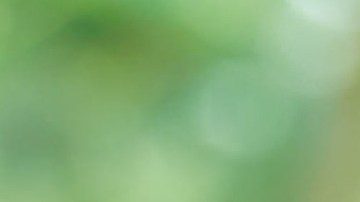 5 maneras de encontrar comida gratis o económica si eres beneficiario de cupones de alimentos