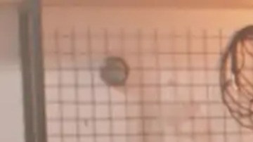 El 97 % de los oyentes no distingue entre melodías humanas y generadas por IA. Mientras las pistas sintéticas se multiplican, plataformas como Deezer y Spotify se enfrentan al desafío de la transparencia en la nueva era musical.