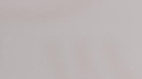 Xi califica de “elección estratégica” la relación con Rusia