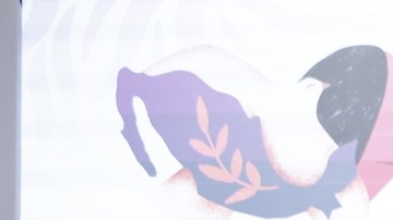 México anuncia plan contra el abuso sexual tras acoso que sufrió la presidenta Claudia Sheinbaum