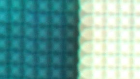 Paty Navidad Anabel Hernández