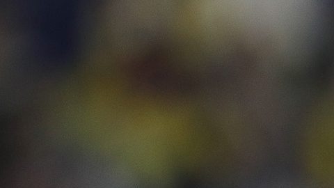 MEX9840. CIUDAD DE MÉXICO (MÉXICO), 29/11/2025.- Germán Berterame de Monterrey celebra un gol este sábado, durante un juego por los cuartos de final del Torneo Apertura 2025 de la Liga MX, en el estadio Ciudad de los Deportes de Ciudad de México (México). EFE/Isaac Esquivel