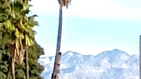 Melanie Lesage triste porque su esposo lo tienen detenido en Adelanto.