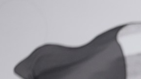 Sheinbaum confirma que México presentó 30 quejas ante ONU por violación a derechos humanos de migrantes en EE.UU.