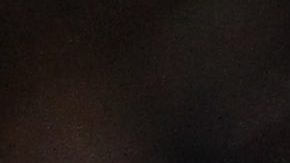 Monterreys Humberto Suazo celebrates after scoring against Santos during the final match of the Mexican soccer league in Monterrey, Mexico, Sunday Dec. 5, 2010. (AP Photo/Carlos Jasso)