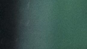 Mexico's Guillermo Ochoa celebrates his side's first goal against Panama during a 2018 Russia World Cup qualifying soccer match at the Azteca Stadium in Mexico City, Friday, Sept. 1, 2017. (AP Photo/Christian Palma)