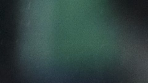 Mexico's Guillermo Ochoa celebrates his side's first goal against Panama during a 2018 Russia World Cup qualifying soccer match at the Azteca Stadium in Mexico City, Friday, Sept. 1, 2017. (AP Photo/Christian Palma)