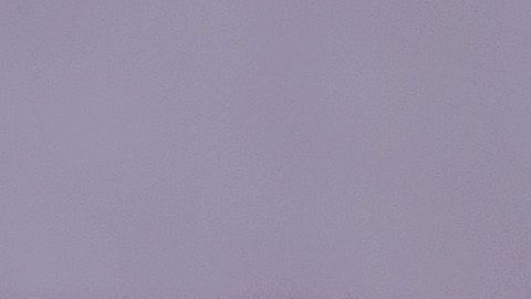 Rob Gronkowski sostiene uno de los tres trofeos de Super Bowl que ganó con los Patriots.