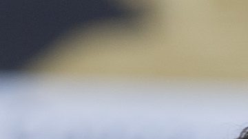 Nicaragua se quedó fuera de la Copa del Mundo de 2026.