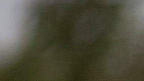 Bar en Idaho ofrece cerveza gratis durante un mes a quien ayude a ICE a deportar a un indocumentado