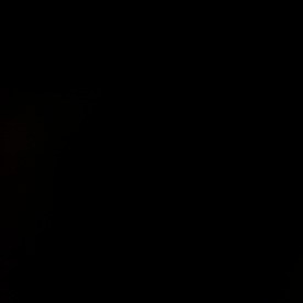 Desde su primera administración, el presidente Trump buscó endurecer la evaluación de inmigrantes a EE.UU.