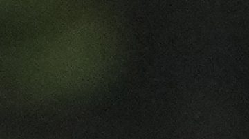 Este curioso hecho ocurrió en 2020.