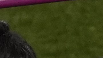 Rubiales fue muy criticado por sugesto sobre Hermoso.