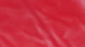 Rob Gronkowski, ex ala cerrada de los Patriots.