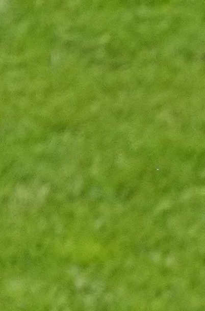 Belgium players pose for the team picture before a round of sixteen match between France and Belgium at the Euro 2024 soccer tournament in Duesseldorf, Germany, Monday, July 1, 2024. (AP Photo/Andreea Alexandru)