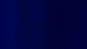 Menos latinos que votaron por Trump apoyan sus políticas.