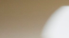 Al menos 13% de latinos que votó por Trump en 2024 no volvería a apoyarlo.