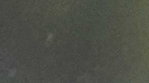 "Memo" tiene 11 titularidades consecutivas en Mundiales.