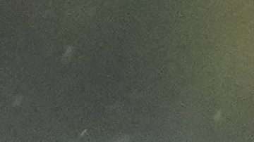 "Memo" tiene 11 titularidades consecutivas en Mundiales.