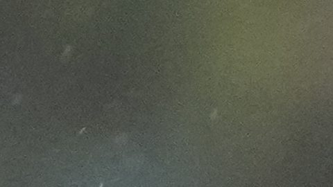 "Memo" tiene 11 titularidades consecutivas en Mundiales.