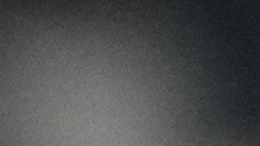 Andreas Schjelderup persigue un balón en un partido de Champions League.