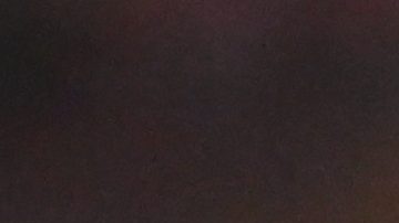 Nico Williams en celebración de gol.