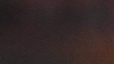 Nico Williams en celebración de gol.