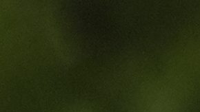 New England Patriots place kicker Andres Borregales (36) heads to the field prior tp an NFL football practice, Wednesday, May 28, 2025, in Foxborough, Mass. (AP Photo/Charles Krupa)