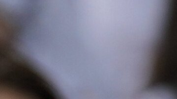 Former soccer player Andres Iniesta lifts the trophy during the opening of the official UEFA fan festival in Munich, Germany, Thursday, May 29, 2025, ahead of the Champions League final soccer match between Inter and PSG. (AP Photo/Matthias Schrader)