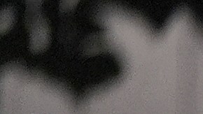 La decisión, que se suspende por 21 días para permitir una apelación, podría marcar un precedente en otros casos similares pendientes en distintas ciudades del país.