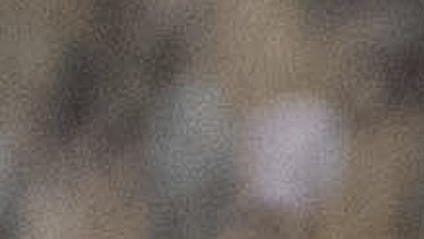 Al Nassr's Cristiano Ronaldo celebrates with teammates after scoring a goal with a penalty kick during the Saudi Super Cup final soccer match between Al Ahli and Al Nassr at the Hong Kong Stadium in Hong Kong, Saturday, Aug. 23, 2025. (AP Photo/Chan Long Hei)