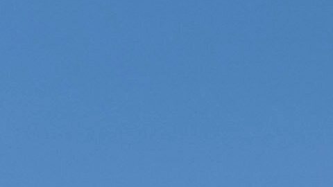 Legisladores han condenado la actuación de funcionarios de ICE contra inmigrantes.