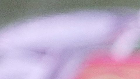 FILE - President Donald Trump, center, attends the NFL Super Bowl 59 football game between the Philadelphia Eagles and the Kansas City Chiefs, Feb. 9, 2025, in New Orleans. (AP Photo/Ben Curtis, File)