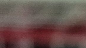 Kane ha marcado gol en todas las competiciones que ha disputado en esta temporada.