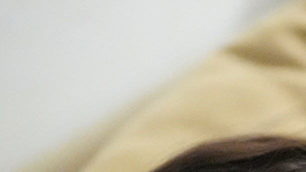 Los niños de familias migrantes enfrentan estrés ante operaciones migratorias.