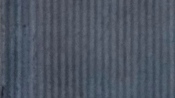 ICE realiza operaciones migratorias contra cualquier indocumentado.