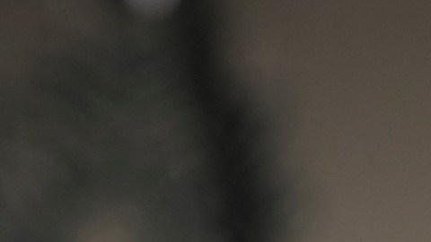 La Administración Trump modifica las reglas de ayuda SNAP.