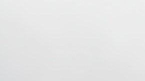 Las autoridades advirtieron que los animales pueden ser agresivos y pidieron al público no acercarse.