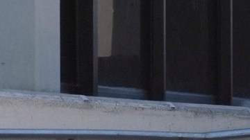 Hay elecciones en 11 estados este 4 de noviembre.