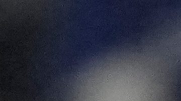 Los Angeles Dodgers' Max Muncy watches his home run against the Toronto Blue Jays during the eighth inning in Game 7 of baseball's World Series, Saturday, Nov. 1, 2025, in Toronto. (AP Photo/Brynn Anderson)