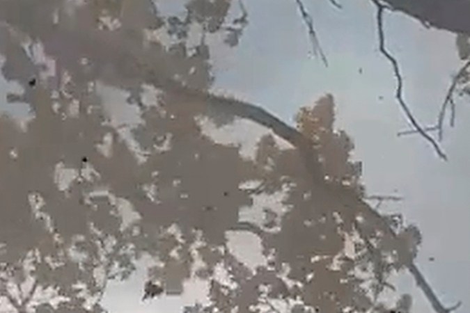 Marco Rubio confía en que se llegará a un acuerdo con el plan de paz propuesto por Trump para Ucrania