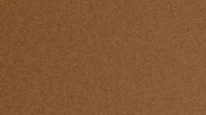 El gobernador Andy Beshear declaró el estado de emergencia y dijo que se cree que entre las víctimas hay un niño pequeño