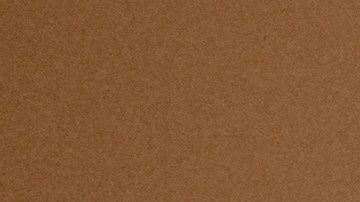 El gobernador Andy Beshear declaró el estado de emergencia y dijo que se cree que entre las víctimas hay un niño pequeño