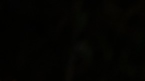 Latinos and other multicultural voters disapprove of Trump's work.