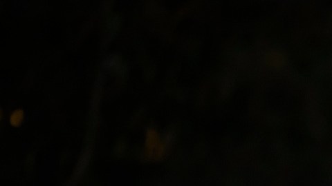 Latinos and other multicultural voters disapprove of Trump's work.