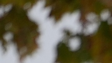 Chicago amaneció con entre dos y cinco centímetros de acumulación, aunque se espera otro episodio de nieve ligera.